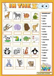 English Worksheet: In the zoo