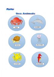 Sea Animals