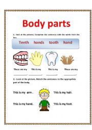 English Worksheet: Body parts