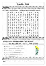 English Worksheet: English Test