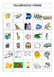 English Worksheet: transparent words