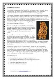 English Worksheet: THE FORMOSAN TERMITES