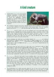 English Worksheet: MANATEES