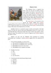 English Worksheet: The Mandarin Duck 