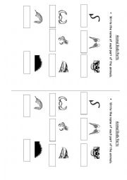 English Worksheet: Animal body parts