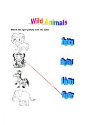 Wild & Farm Animals