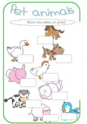 English Worksheet: pet animals