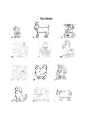 English Worksheet: Farm Animals