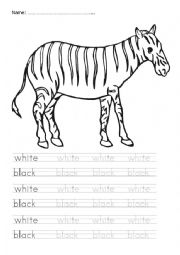 English Worksheet: color