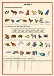 English Worksheet: ANIMALS - exercises