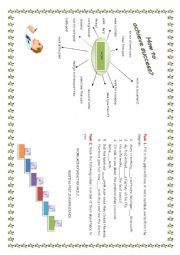 English Worksheet: How to achive success