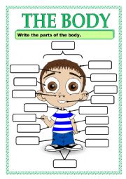 PARTS OF THE BODY_ACTIVITY 2