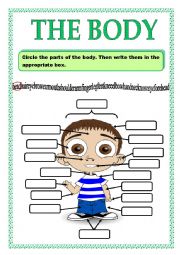 English Worksheet: PARTS OF THE BODY_ACTIVITY 3