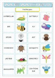 English Worksheet: Insects Memory