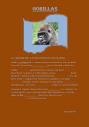 Gorillas, active and passive form (present simple)