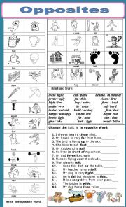 English Worksheet: OPPOSITES