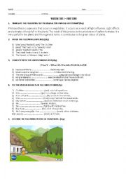 English Worksheet: Written Test - Simple Present. Translation. Description of picture