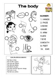 English Worksheet: body revision