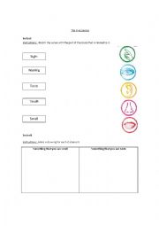 English Worksheet: The five senses