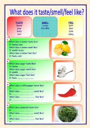 English Worksheet: taste smell feel