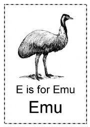 E is for Emu and Echidna