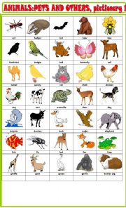 English Worksheet: Animals, pets and others :pictioanry1