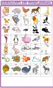 English Worksheet: Animals, pets and others :pictionary 2