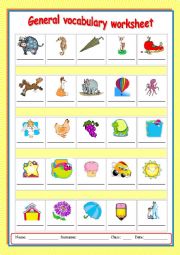 General vocabulary worksheet