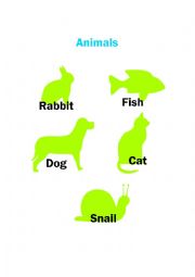 Animals