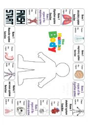 Human Body Systems Game