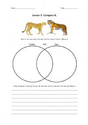 English Worksheet: Compare Them