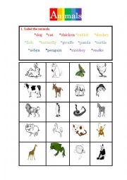 Animals- Identifying animals