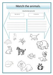 English Worksheet: Farm Wild Animals