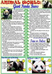 English Worksheet: Animal World: Giant Panda Bears