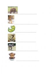 English Worksheet: Animals