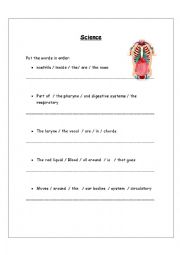 English Worksheet: Human System 