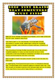 English Worksheet: Bees brains