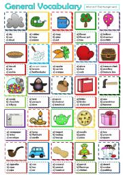 English Worksheet: General Vocabulary