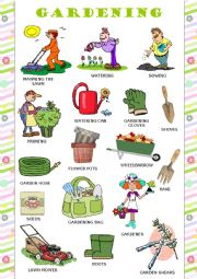 English Worksheet: Gardening - Pictionary