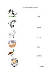 Farm Animals