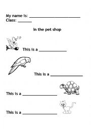 English Worksheet: Domestic Animals