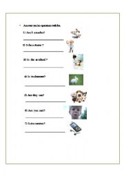 ANSWER QUESTION WITH BE