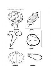 English Worksheet: Vocabulary of vegetables