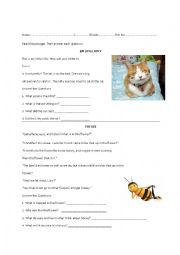 English Worksheet: Reading Comprehension 