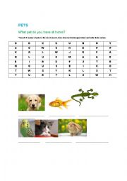English Worksheet: Pets Word search 