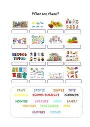 English Worksheet: Vocabulary topics