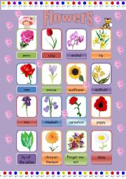 English Worksheet: flowers