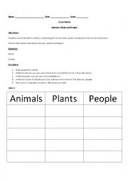 English Worksheet: animal-people-plants