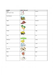 English Worksheet: What do animals eat