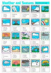 English Worksheet: weather and seasons